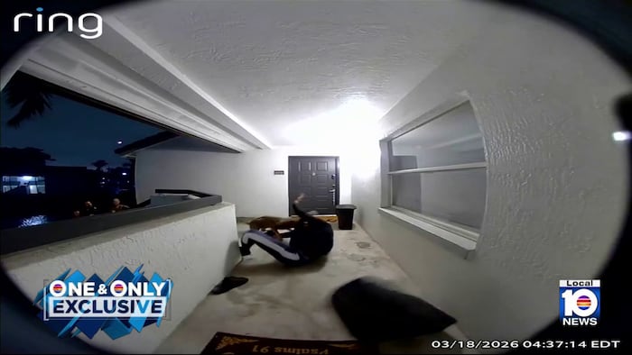 Police arrest 2 men after overnight car break-in spree near NSU in Davie