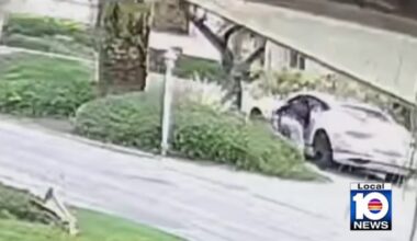 Video shows Bentley stolen from outside Fort Lauderdale home with small dog inside