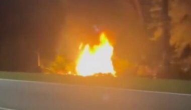 Speeding Car Hits Tree and Catches Fire in Fatal Crash on EPCOT Center Drive