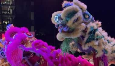 AASA’s Lunar New Year Festival rings in the year of the Fire Horse