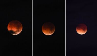 See how the blood moon and lunar eclipse looked from South Florida – NBC 6 South Florida