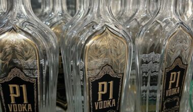 Orlando-based P1 Vodka plans downtown distillery – GrowthSpotter