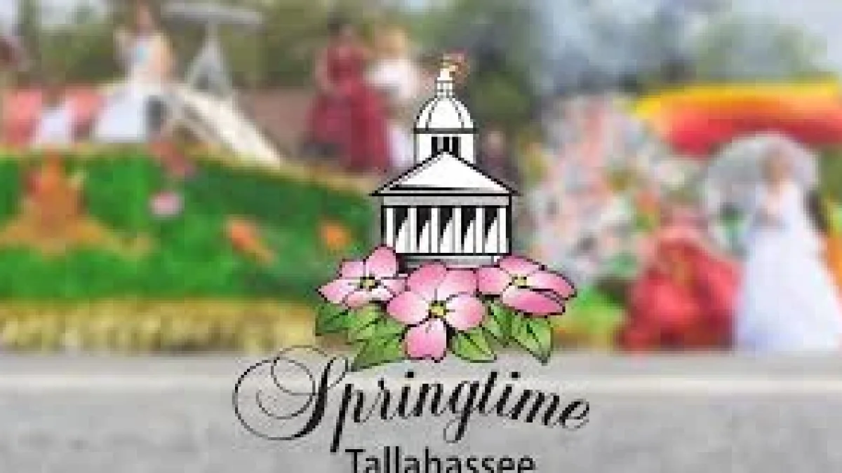 Shannon Bream set for Florida appearances as Springtime Tallahassee names 2026 Grand Parade grand marshal