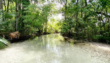 5 Places to Visit if You’re Stuck in Tallahassee for Spring Break