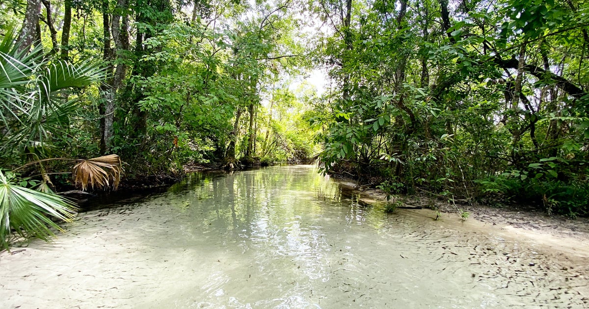 5 Places to Visit if You’re Stuck in Tallahassee for Spring Break