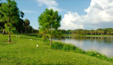 This Walkable Florida Neighborhood Dazzles With A Central Lake And A Lush Park With Scenic Outdoor Beauty