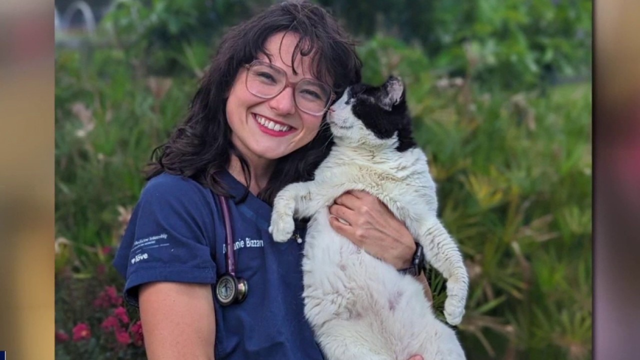 Veterinarians facing mental health crisis