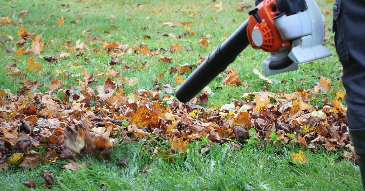 Florida Gov. Ron DeSantis signs sweeping farm bill banning local gas-powered equipment restrictions