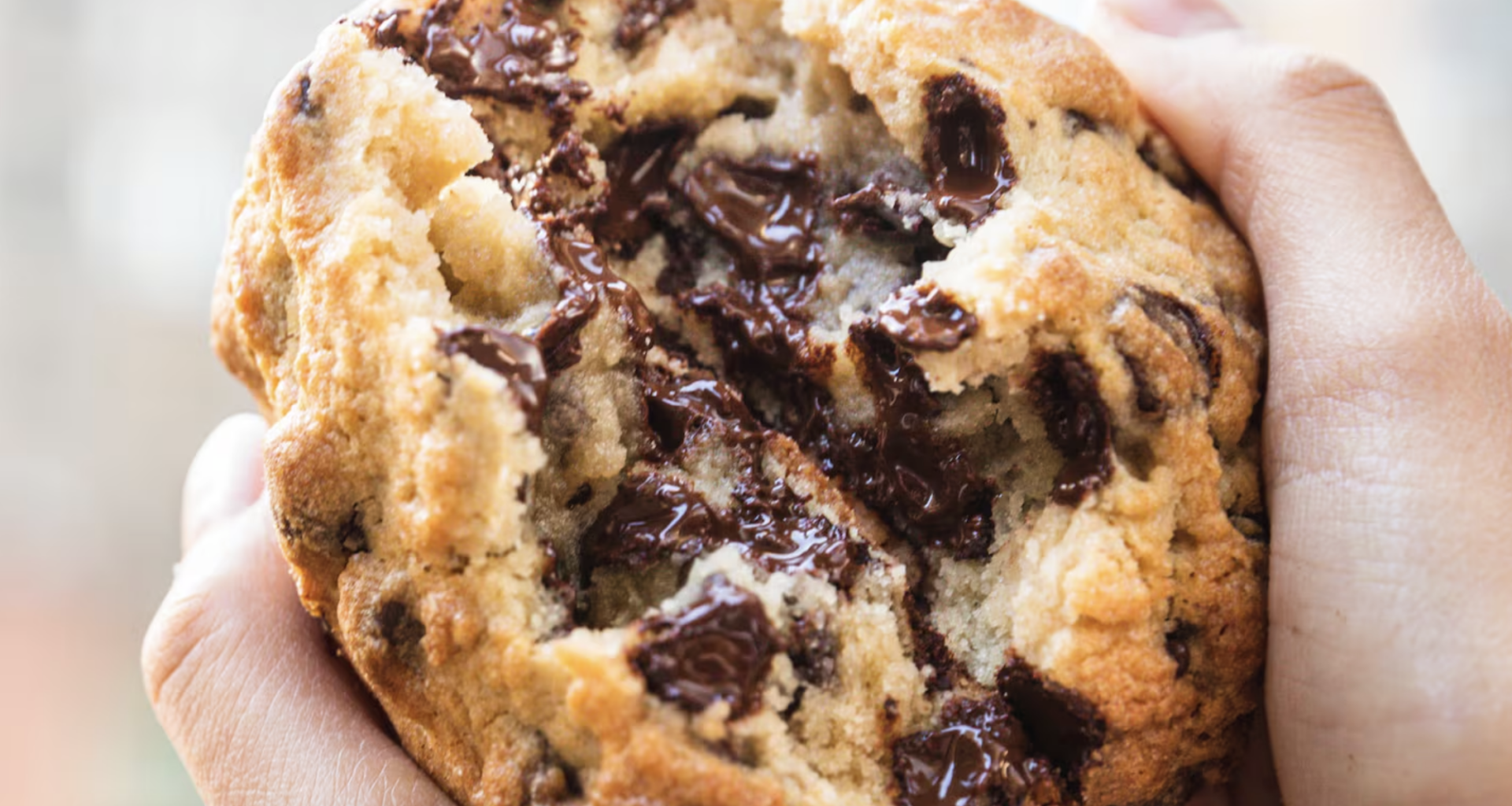 a delicious chocolate chip cookie from Levain Bakery in New York being pulled in half to show its melted chocolate morsels