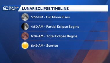 When to see it in Southwest Florida