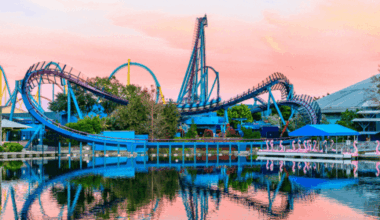 Mako roller coaster against a pink sky at SeaWorld Orlando