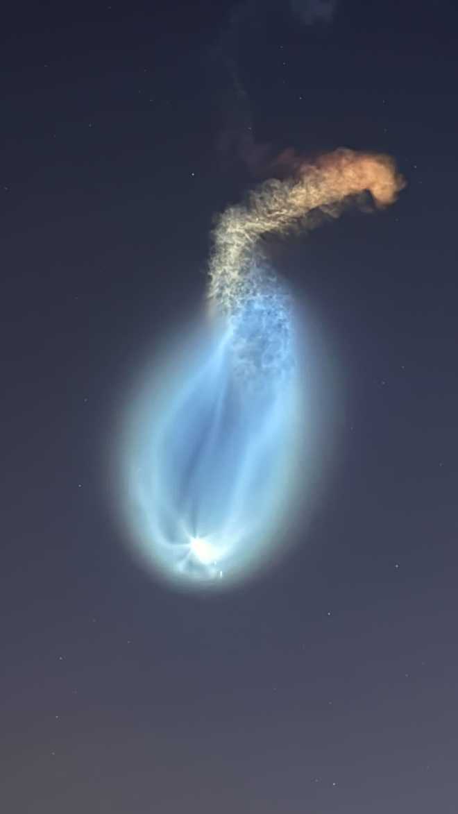 space jellyfish | march 4, 2026