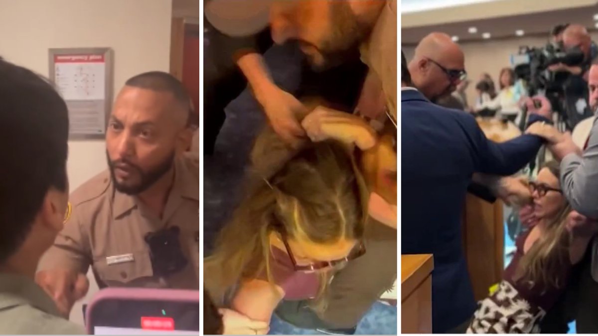 Woman ‘bittersweet’ as charges dropped in arrest at chaotic Miami-Dade Commission meeting – NBC 6 South Florida