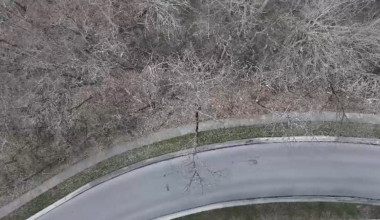 Wildlife officers investigating after dead coyotes dumped in Miami Township