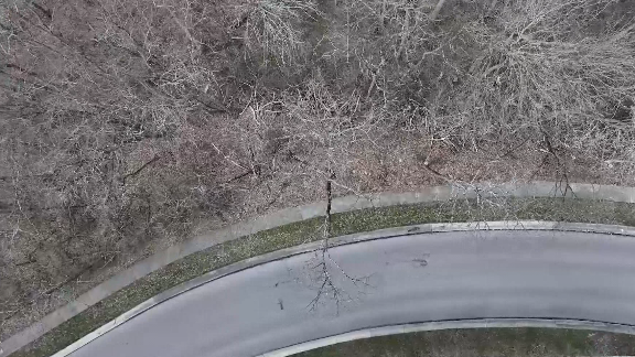 Wildlife officers investigating after dead coyotes dumped in Miami Township