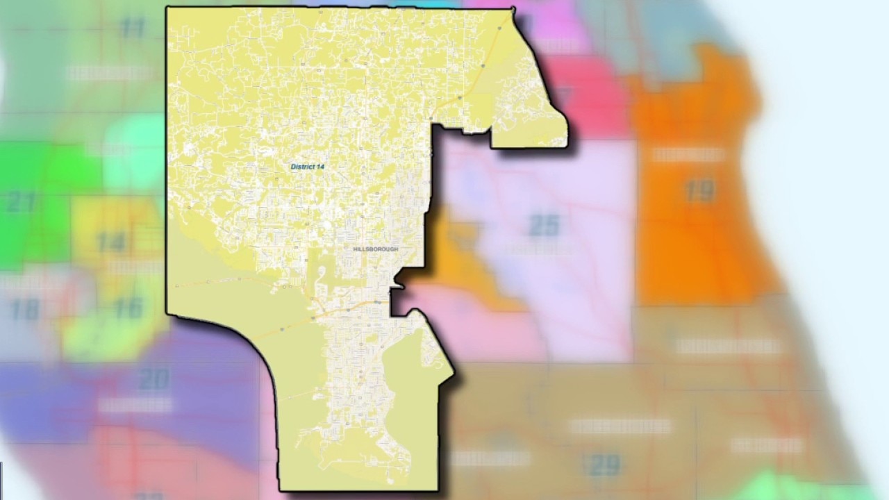 Special election preview: Tomkow vs. Nathan