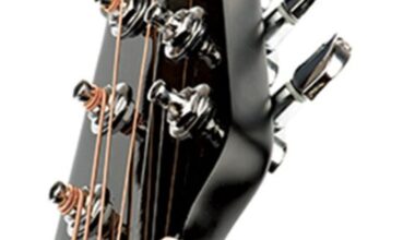 Gulf Coast Town Center to host Deb & The Dynamics for its upcoming First Friday Concert | News, Sports, Jobs