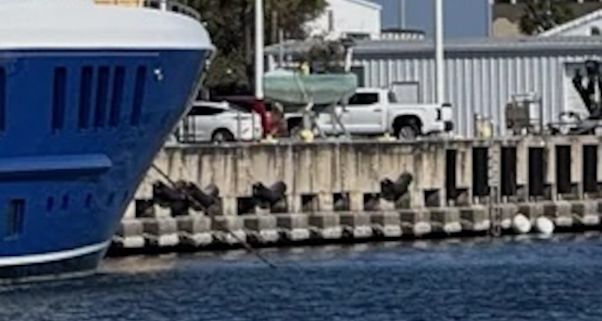 Recently, in St. Petersburg, Florida, a 272-foot superyacht was spotted at the port's wharf near the local airport.