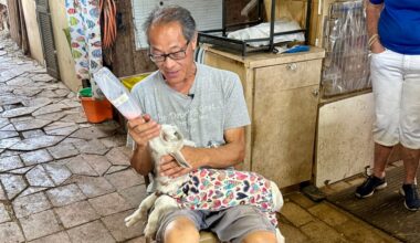 Phil Yeh, volunteer at The Dancing Goat, a non-profit dairy farm in the Tampa area, feeds 18-day day old Donatella the goat. Yeh has been volunteering here for three years. Photo by Virginia Johnson/Staff