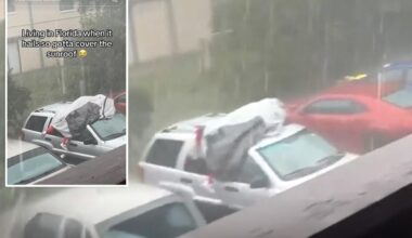 Florida man uses his body as shield against hailstorm in wild video