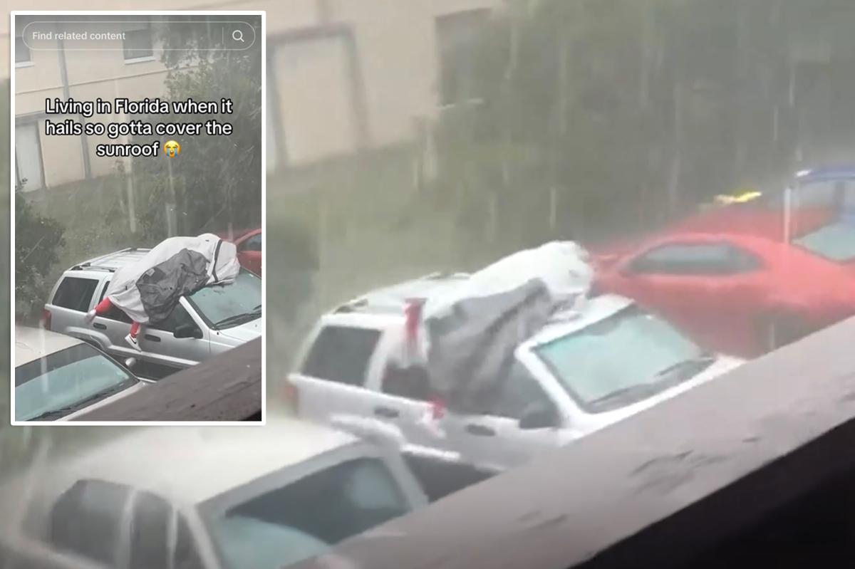 Florida man uses his body as shield against hailstorm in wild video