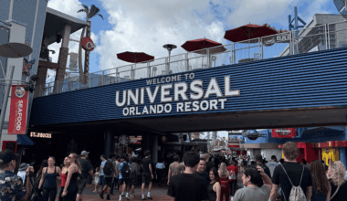 Theme parks help college students reconnect with their inner child