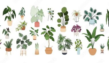 Plant swap to take place at West Oaks Library