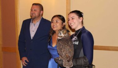 MADD raises more than $46,000 at annual gala at SeaWorld
