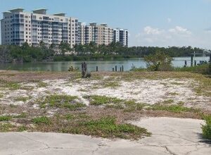 Town Investigating 4 Properties Related to Recent Fish Kill - Beach Talk Radio News