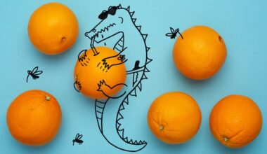 Kia Damon’s Audacious Florida Cooking