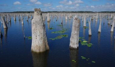 Decades after a Florida canal project was abandoned, advocates are trying to reunite 2 rivers