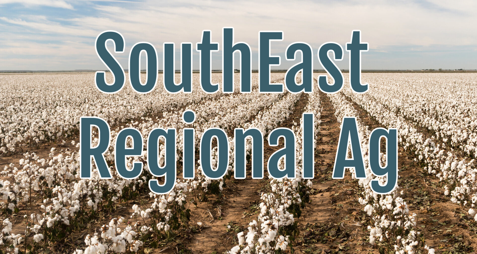 Florida Farmers Hit Hard by Historic Freeze as USDA Unlocks Disaster Aid