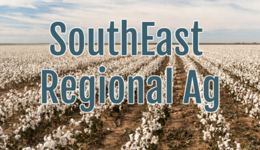 Florida Farmers Hit Hard by Historic Freeze as USDA Unlocks Disaster Aid