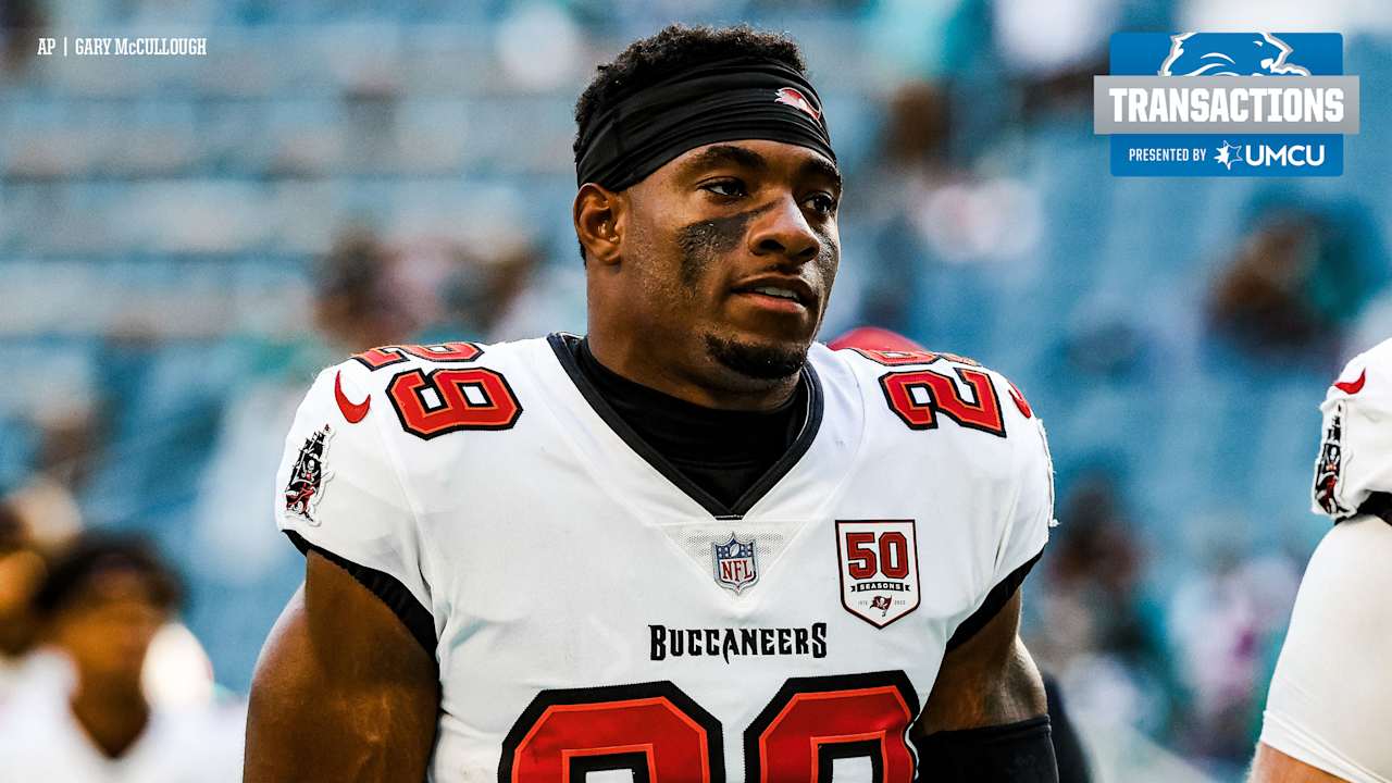 Detroit Lions sign free agent DB Christian Izien