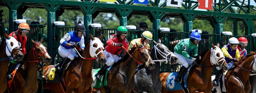 2026 Tampa Bay Derby picks, odds: Horse racing writer has best bets for Saturday's Kentucky Derby prep race