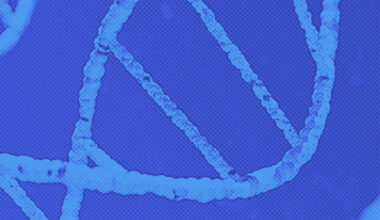 Rescuers Help Struggling 1,042lb Manatee and Baby