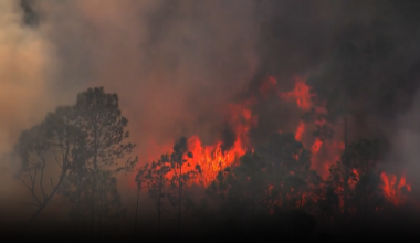 50-acre wildfire burning in Orange County