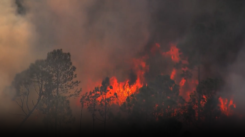 50-acre wildfire burning in Orange County