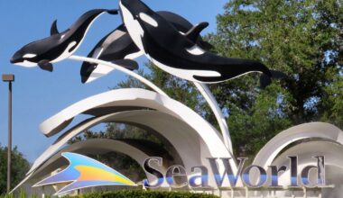 6 guests sent to hospital after ride briefly pauses at SeaWorld Orlando