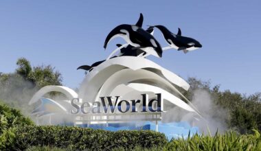 DOJ sues SeaWorld's parent company over ban on wheeled walkers
