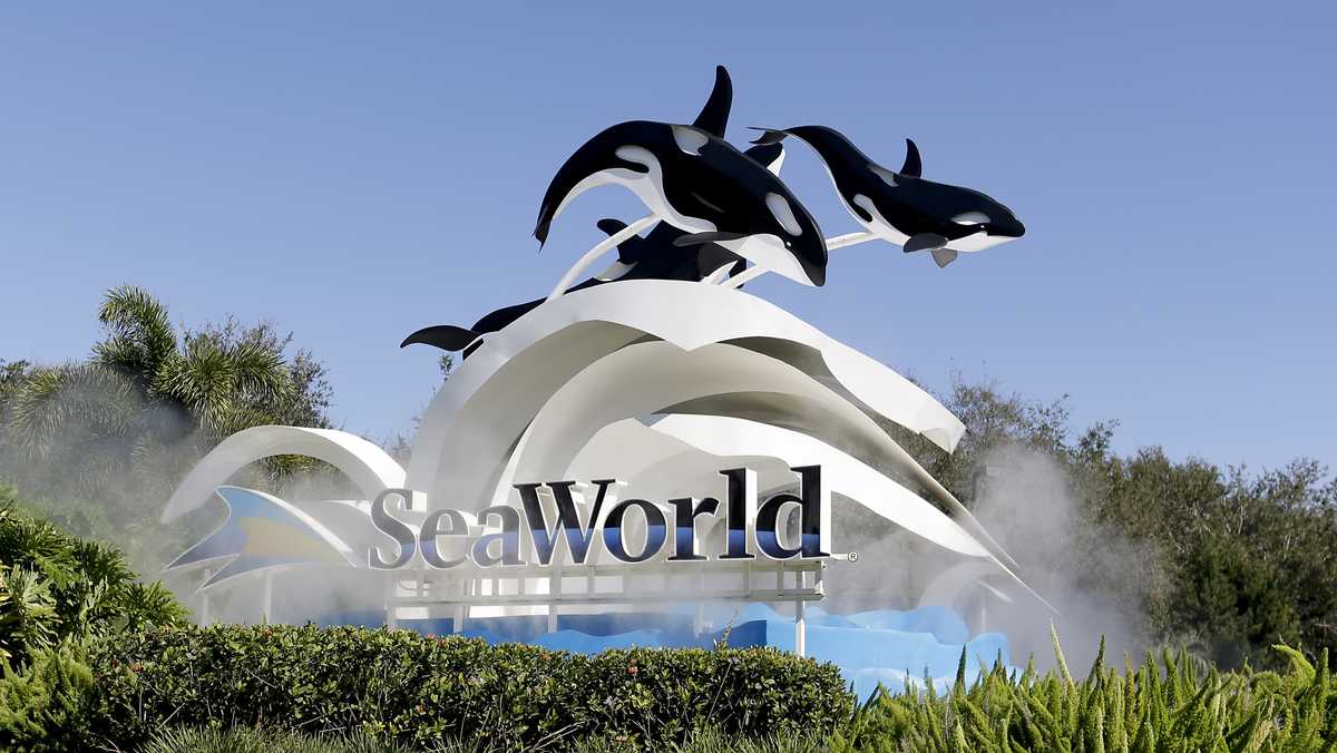 DOJ sues SeaWorld's parent company over ban on wheeled walkers