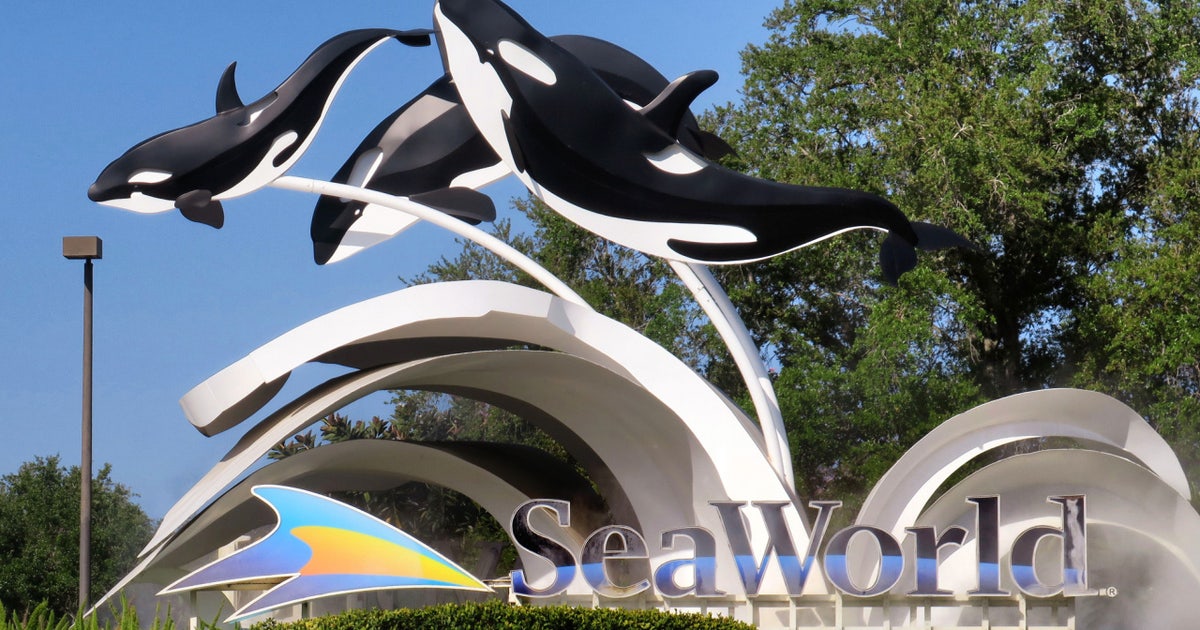 6 guests sent to hospital after ride briefly pauses at SeaWorld Orlando