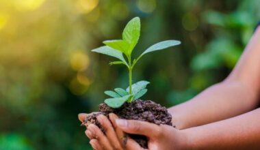 Nerd Nite St. Pete Plans First-Ever Nerdscursion To Urban Homestead