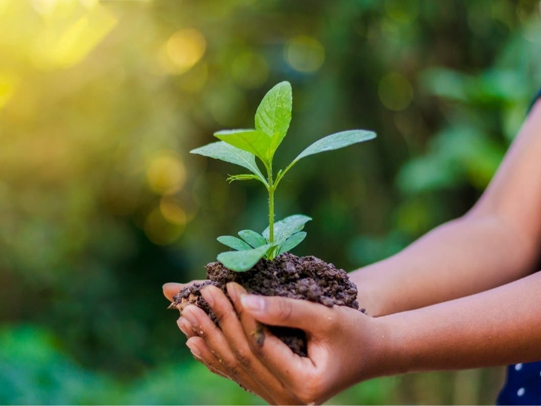 Nerd Nite St. Pete Plans First-Ever Nerdscursion To Urban Homestead