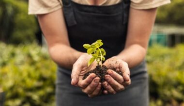 24 Can't-Miss Events This Spring In Tampa Bay