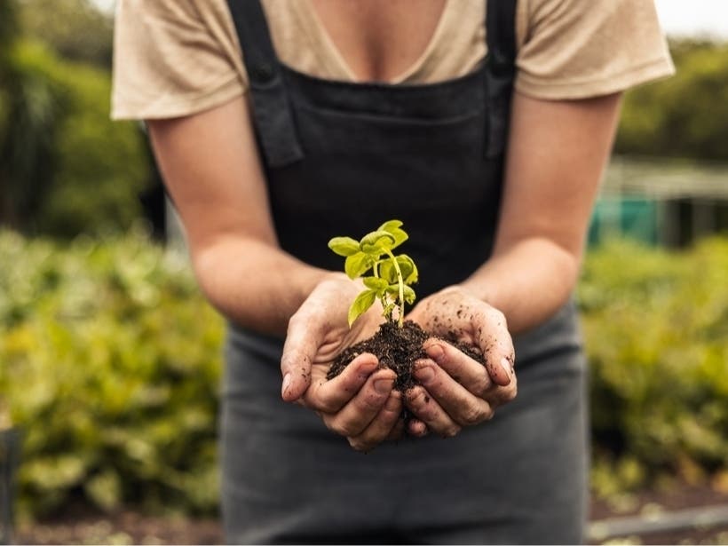 24 Can't-Miss Events This Spring In Tampa Bay