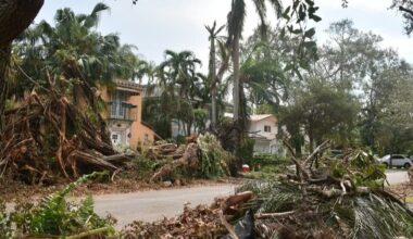 2026 Hurricane Forecast: Up To 4 Major Storms Expected In Atlantic