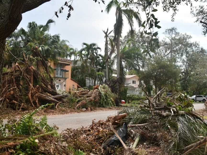 2026 Hurricane Forecast: Up To 4 Major Storms Expected In Atlantic