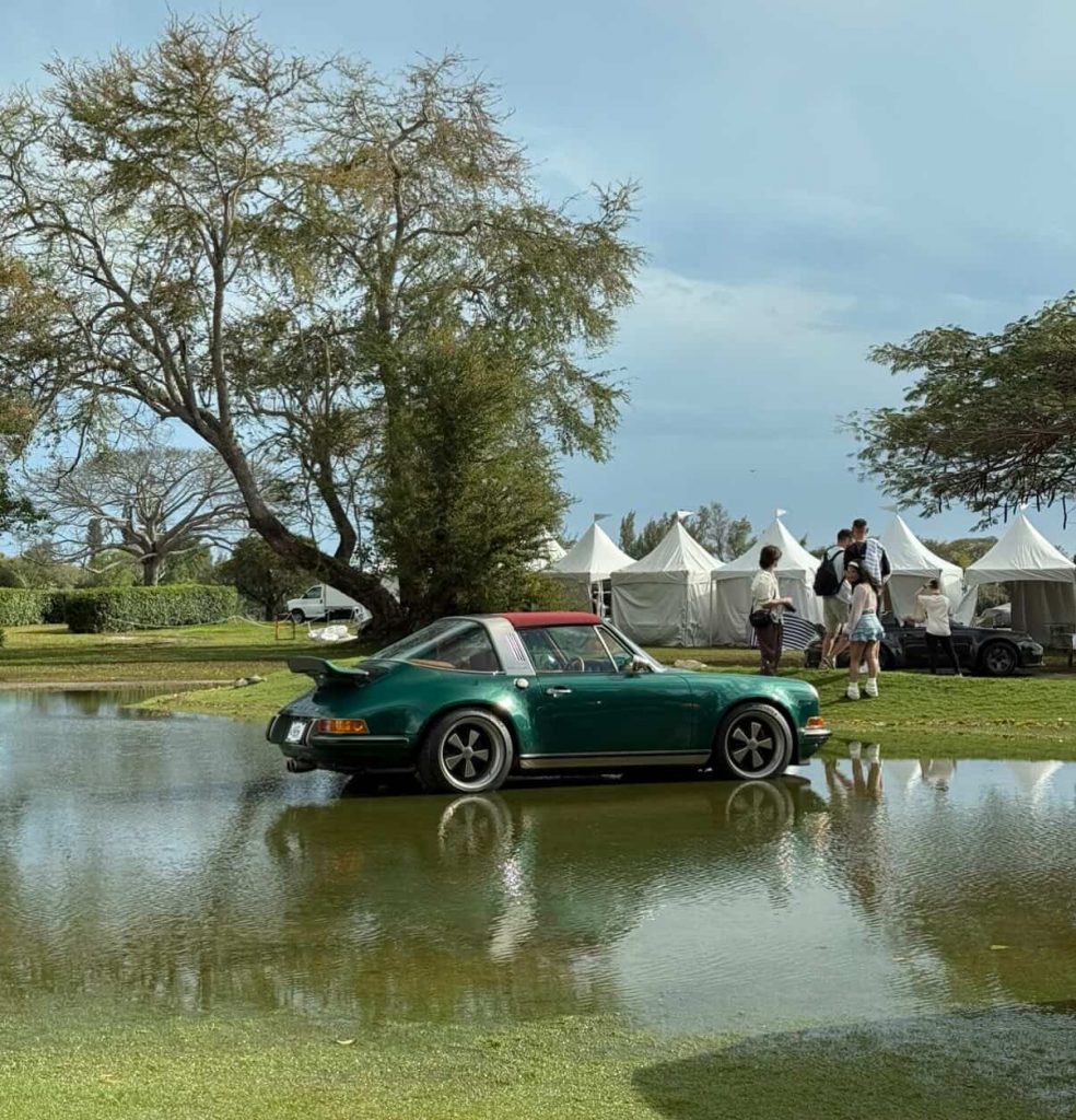 Singer 911 In Water