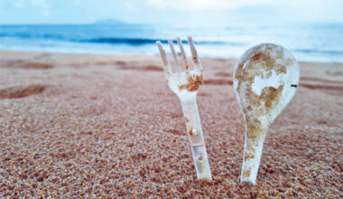 Miami may ban single-use plastics in events, concessions